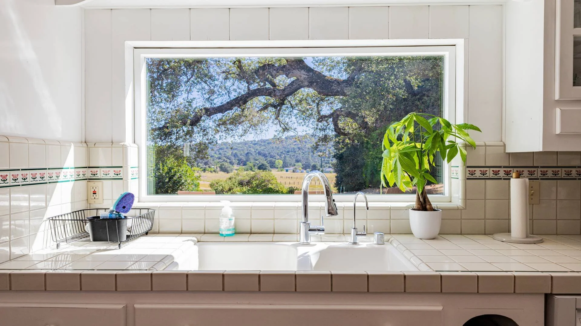Kitchen sink with a large window showing a view of trees and open land, a potted plant, soap dispenser, and a dish rack with cleaning supplies.