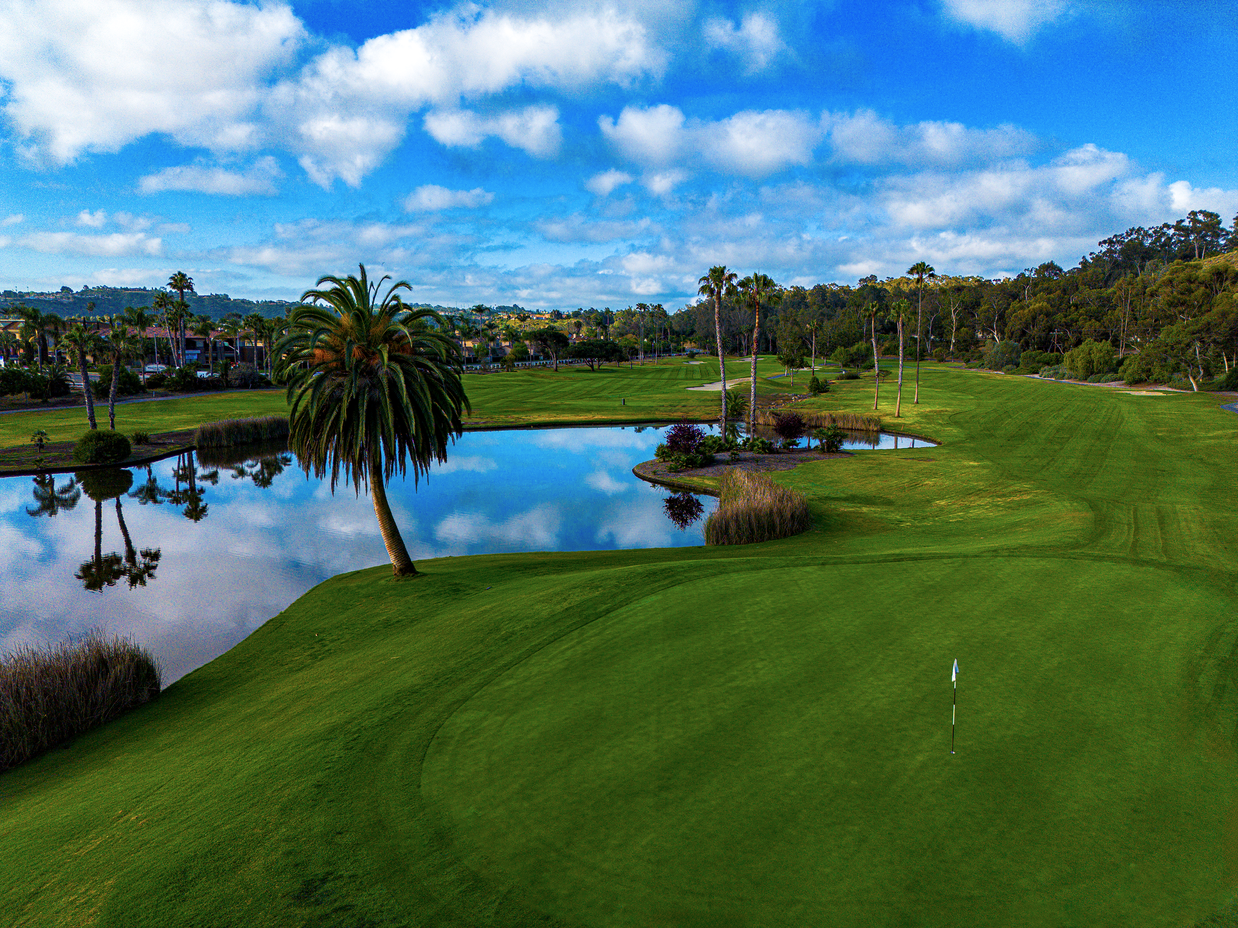 A golf course with a pond, green fairways, and tall palm trees under a partly cloudy sky.