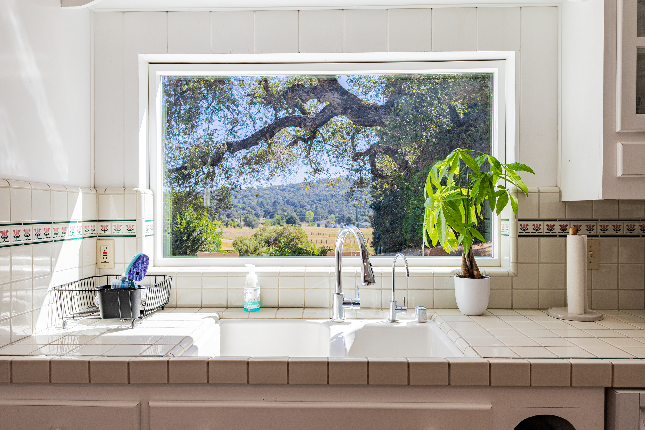 Kitchen sink view through a large window showing a tree with a blue sky background, potted plant near the sink, dish soap, and paper towel roll on the counter.
