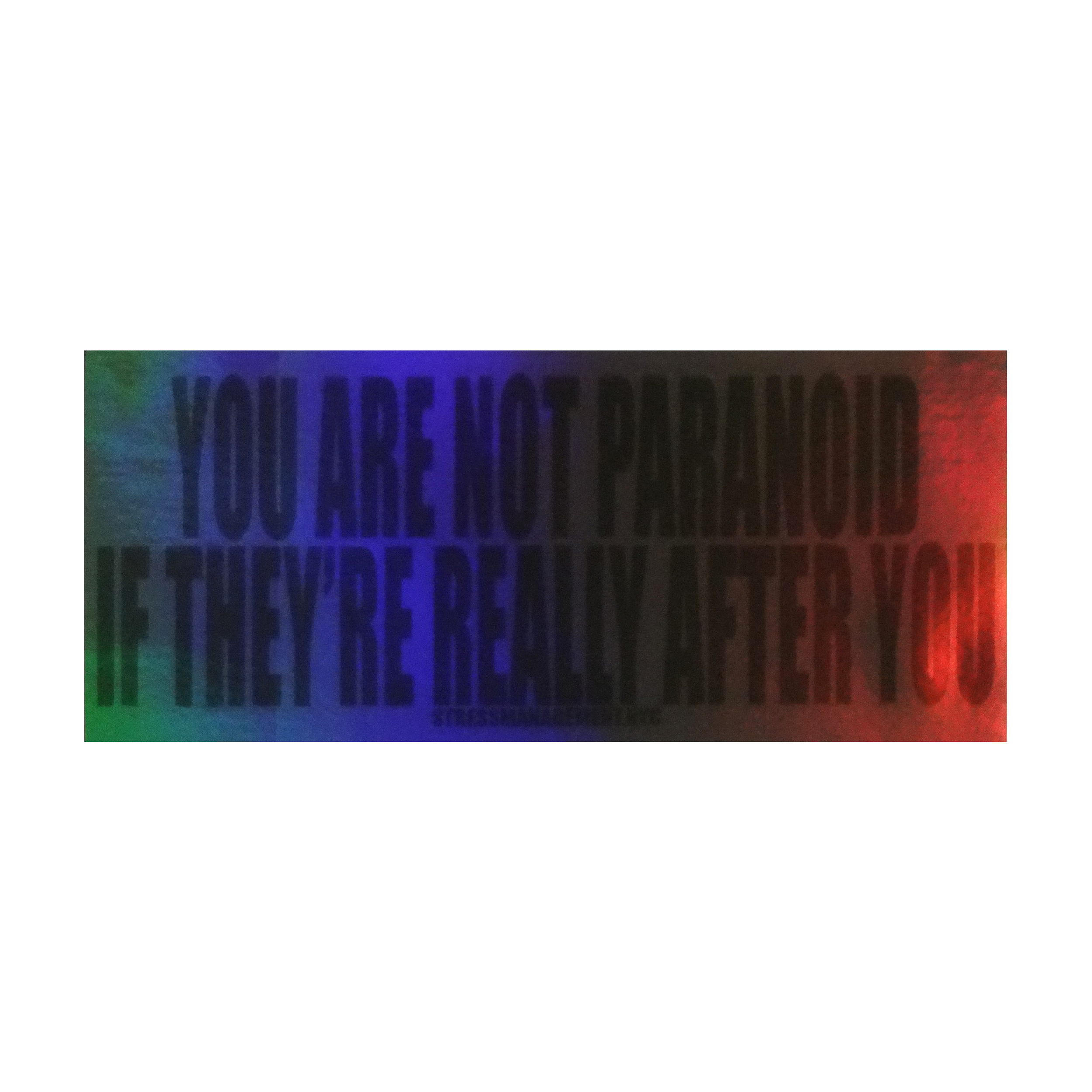 DSC03388.png