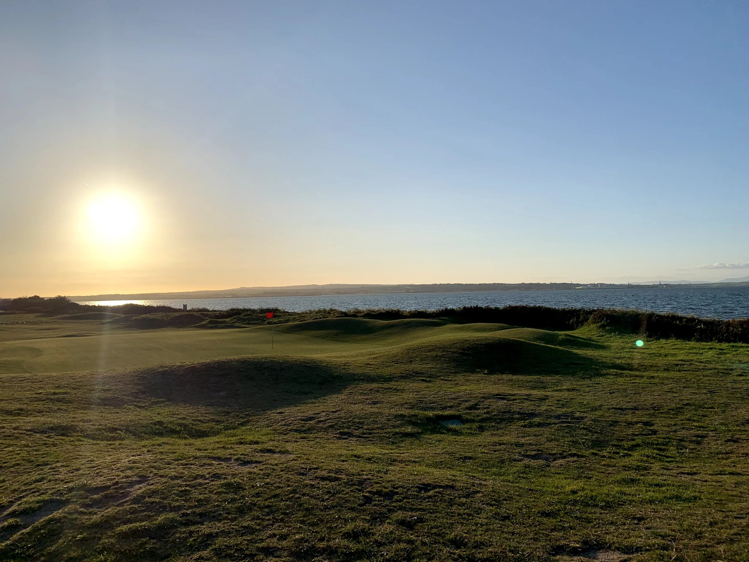 St. Patrick's Day of the 2010's