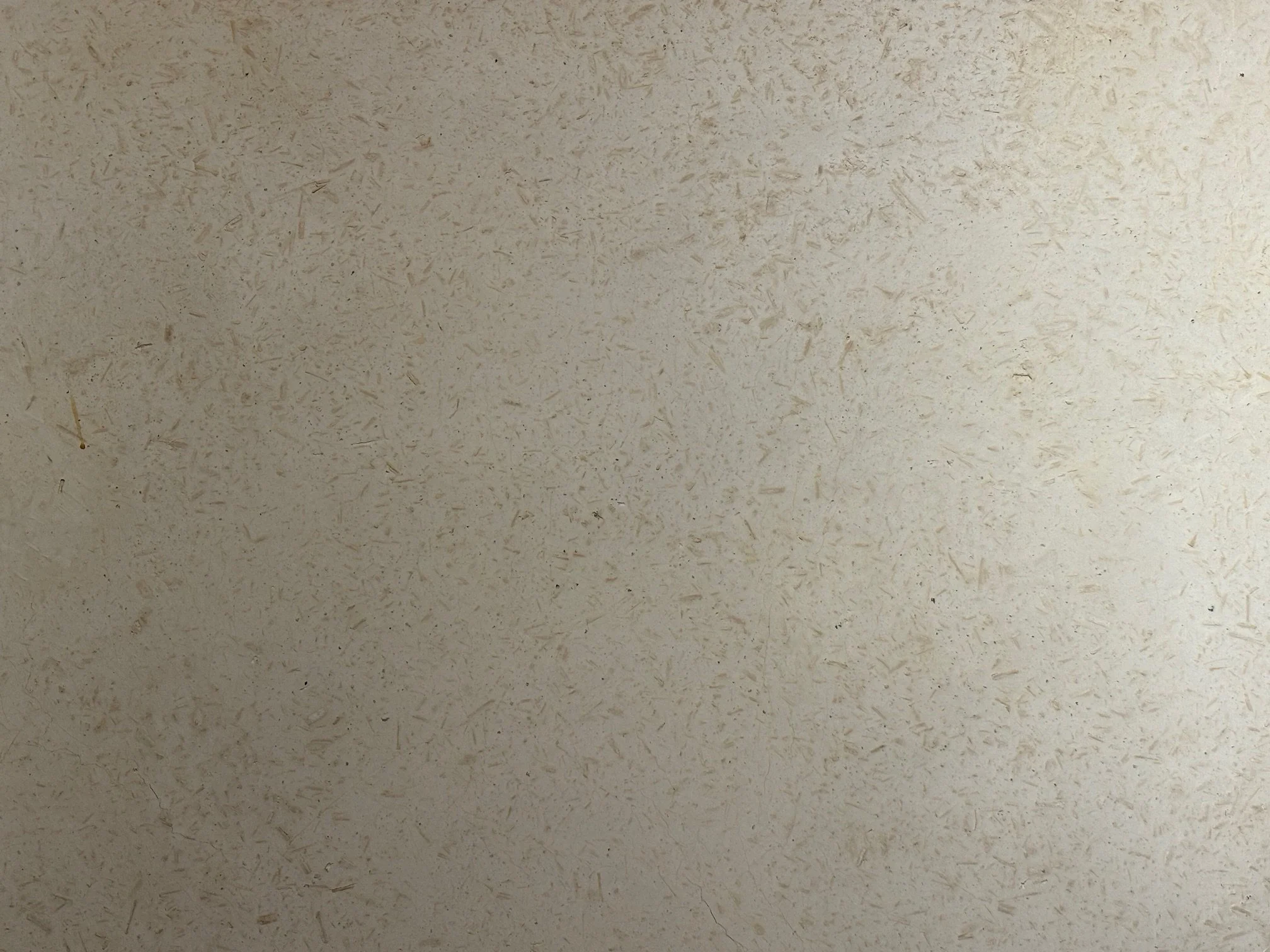 Enduit-chanvre-intérieur.jpg
