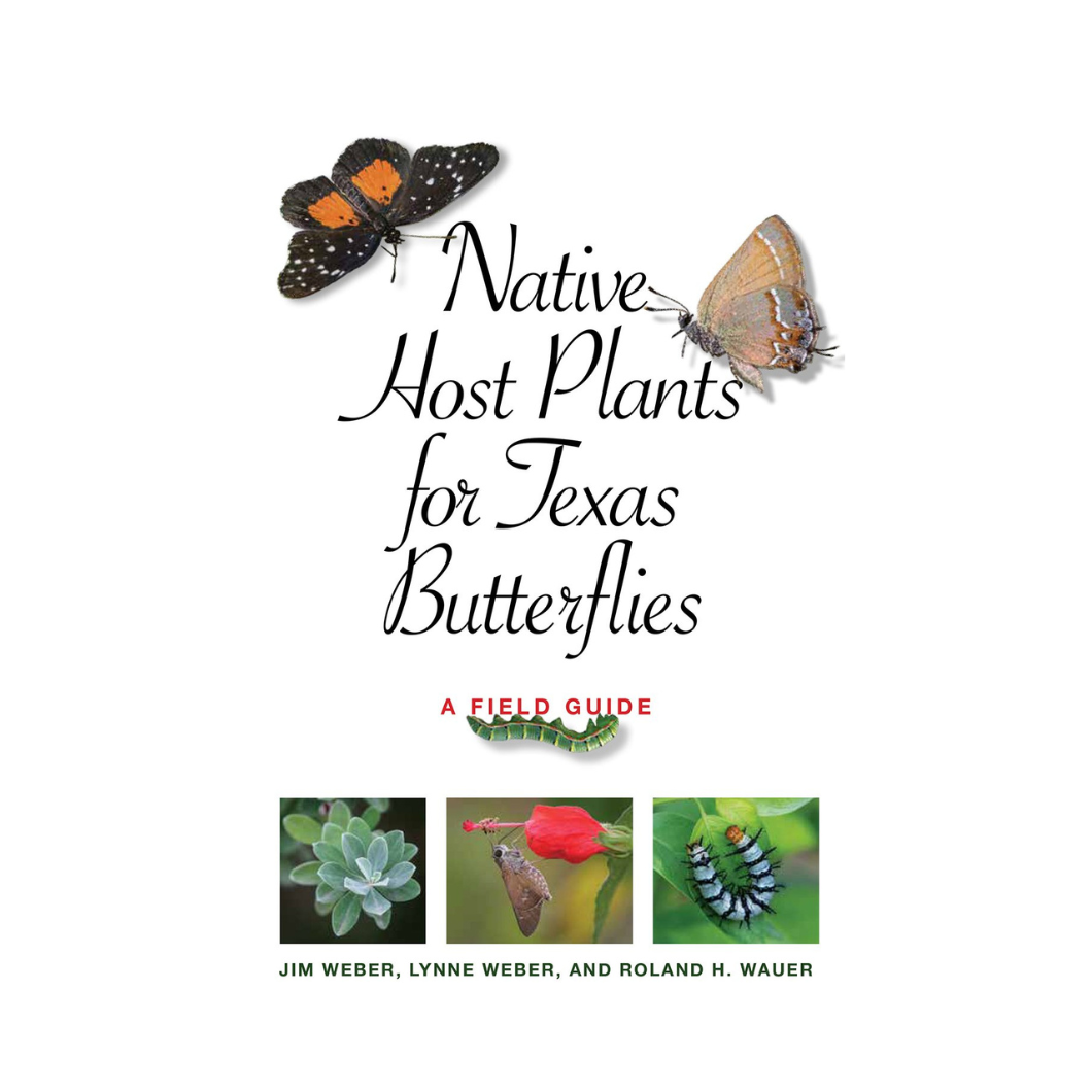 Native Host Plants for Texas Butterflies: A Field Guide