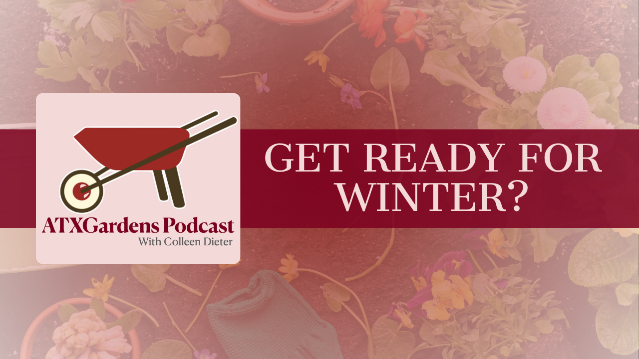 Episode 3: Get ready for Winter?