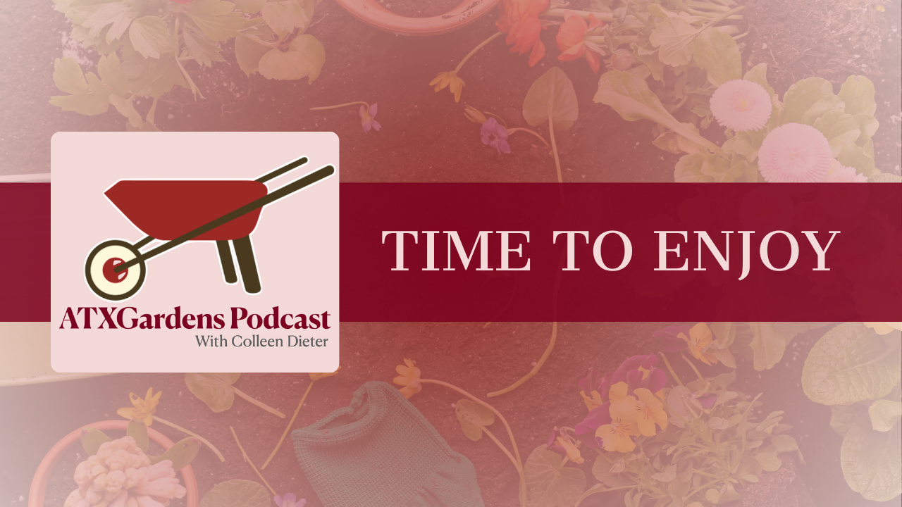 Episode 2: Time to Enjoy