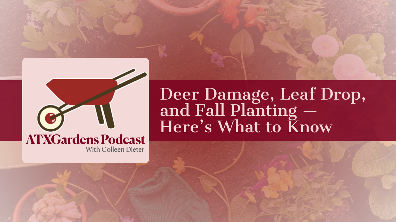 Episode 4: Deer Damage, Leaf Drop, and Fall Planting — Here’s What to Know