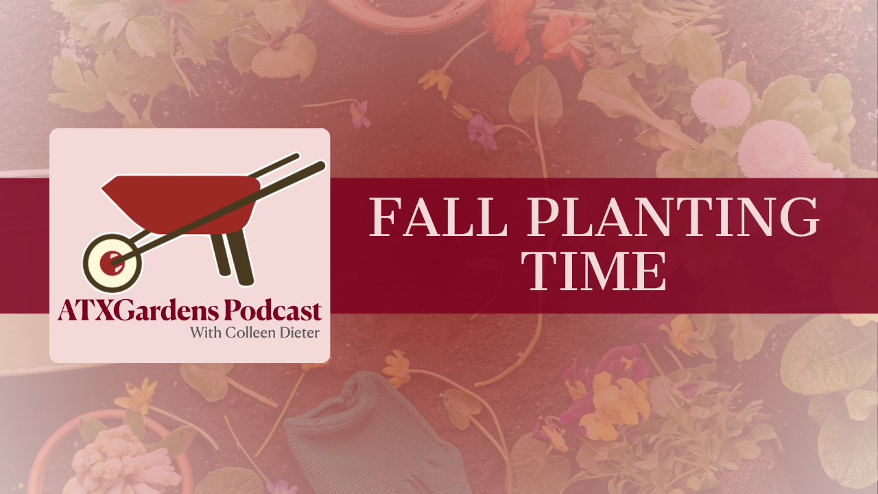 Episode 1: Mid to Late September