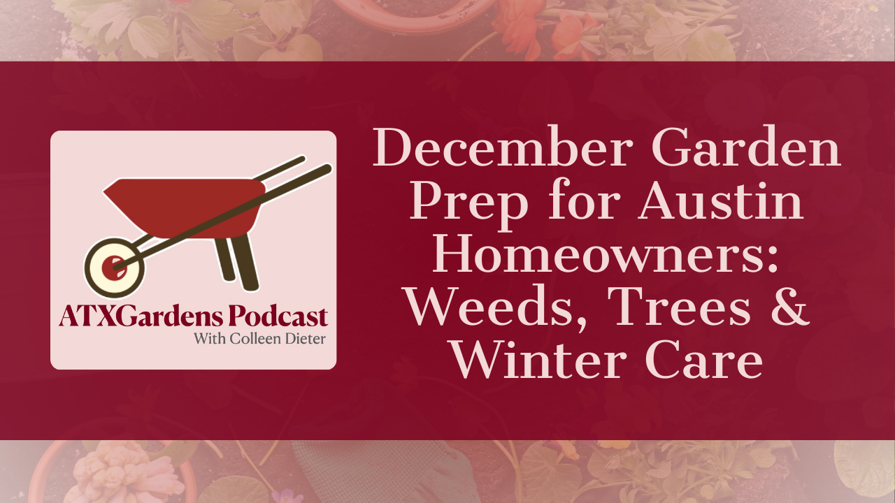 Episode 6: December Garden Prep for Austin Homeowners: Weeds, Trees &amp; Winter Care
