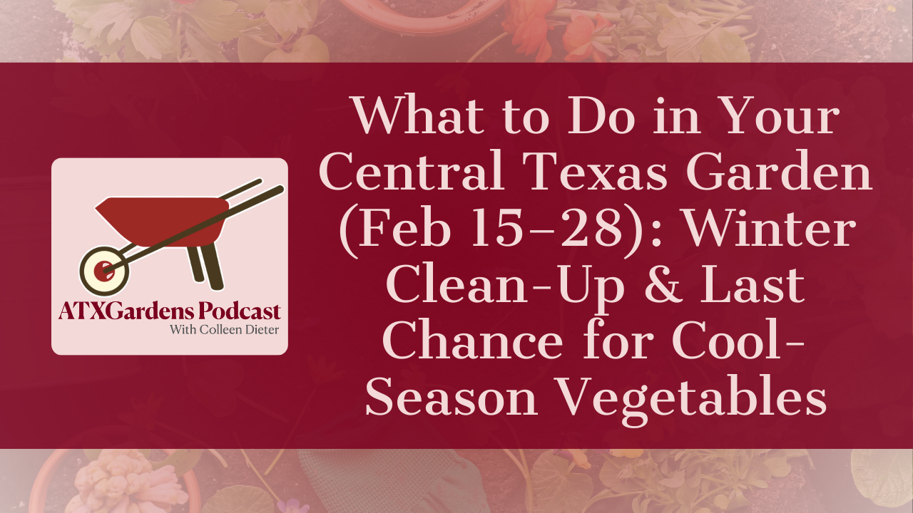 What to Do in Your Central Texas Garden (Feb 15–28): Winter Clean-Up &amp; Last Chance for Cool-Season Vegetables