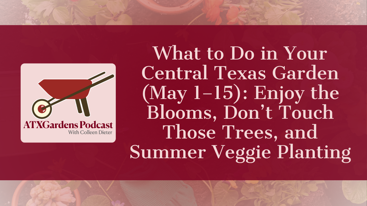 What to Do in Your Central Texas Garden (May 1–15): Enjoy the Blooms, Don’t Touch Those Trees, and Summer Veggie Planting