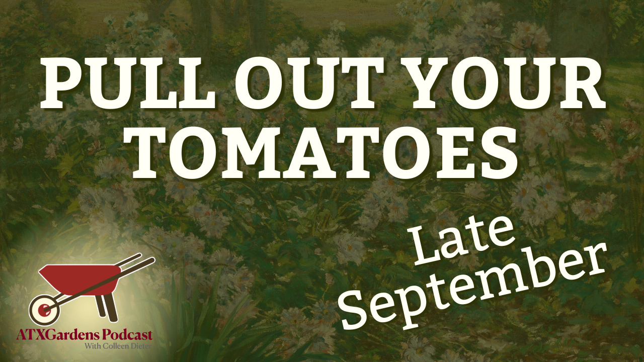 Episode 1: Mid to Late September