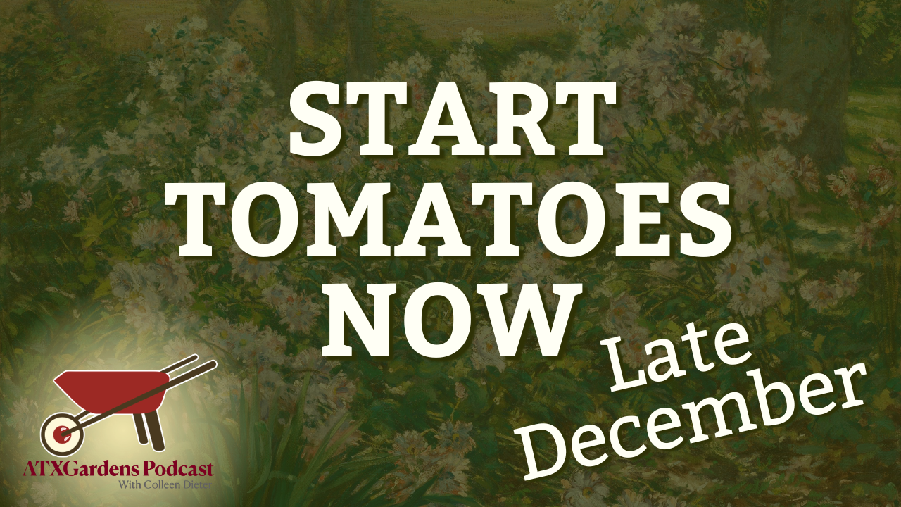 Episode 7: What to Plant (and Not Plant) in Central Texas in Late December
