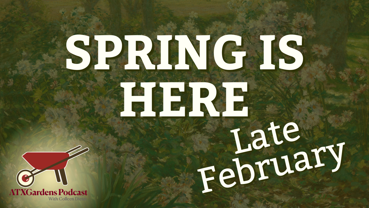 Episode 11: What to Do in Your Central Texas Garden (Feb 15–28): Winter Clean-Up &amp; Last Chance for Cool-Season Vegetables