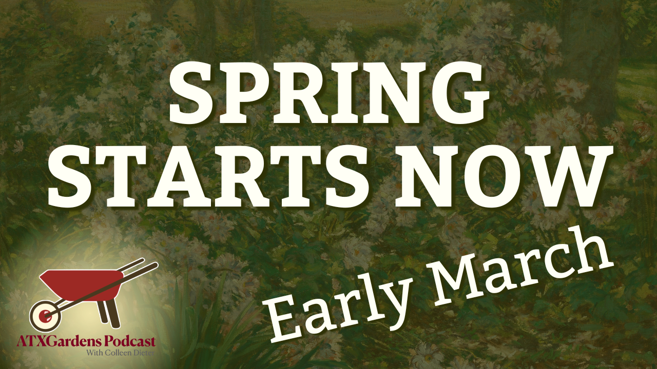 Episode 12: What to Do in Your Central Texas Garden (March 1-15): Spring is Here! Stop pruning trees, start planting perennials.