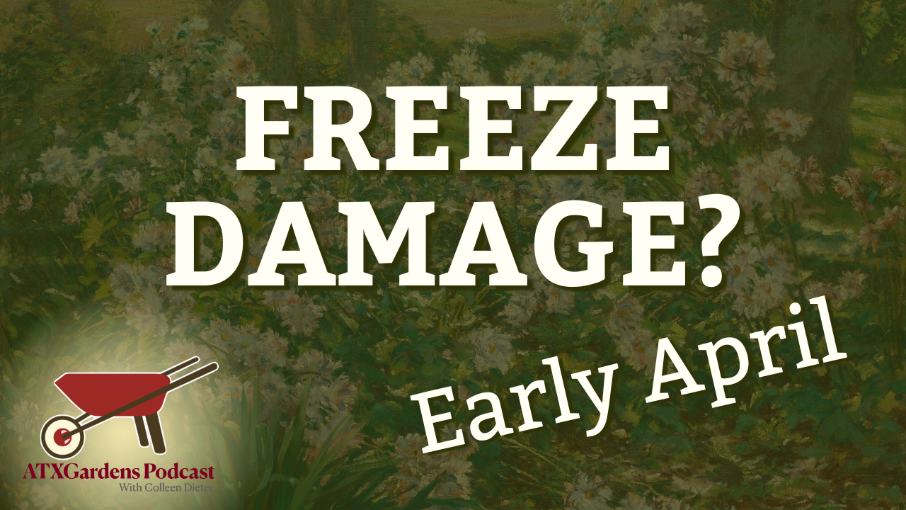 Episode 14: April 1–15 Garden Tasks (Central Texas): What to Plant &amp; What to Avoid