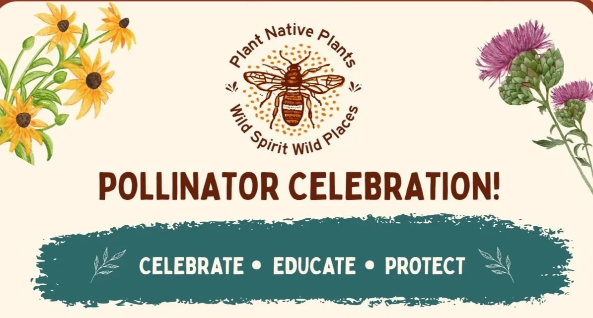 Wild Spirit Wild Places 3rd Annual Pollinator Celebration