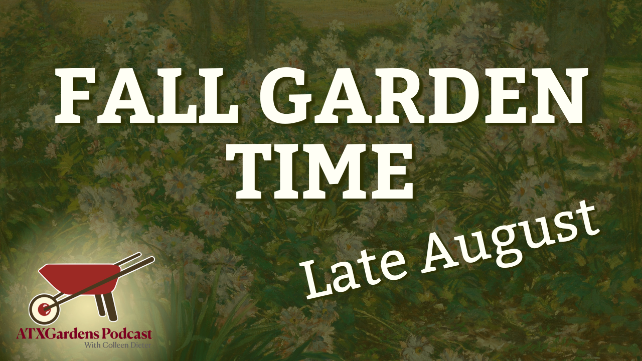 What to Do in Your Central Texas Garden (Aug 15–31): Build Beds &amp; Prep for Fall