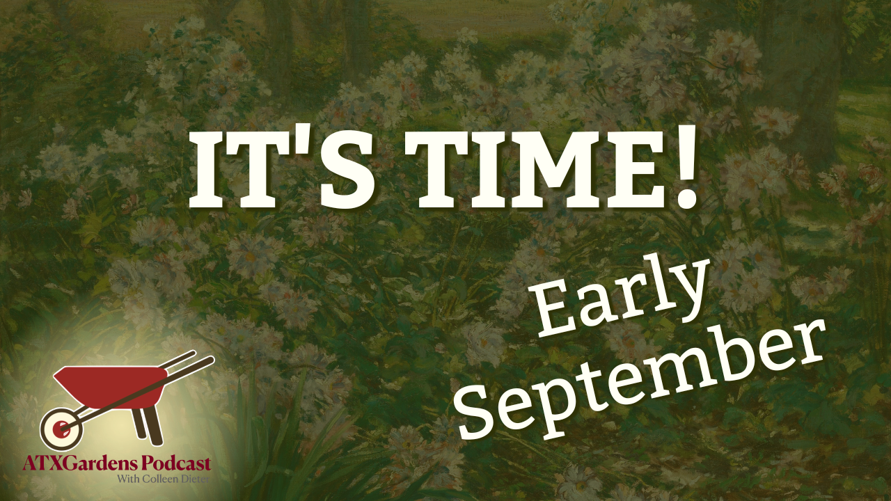 What to Do in Your Central Texas Garden (Sept. 1–15): Stop Pruning, Start Planting