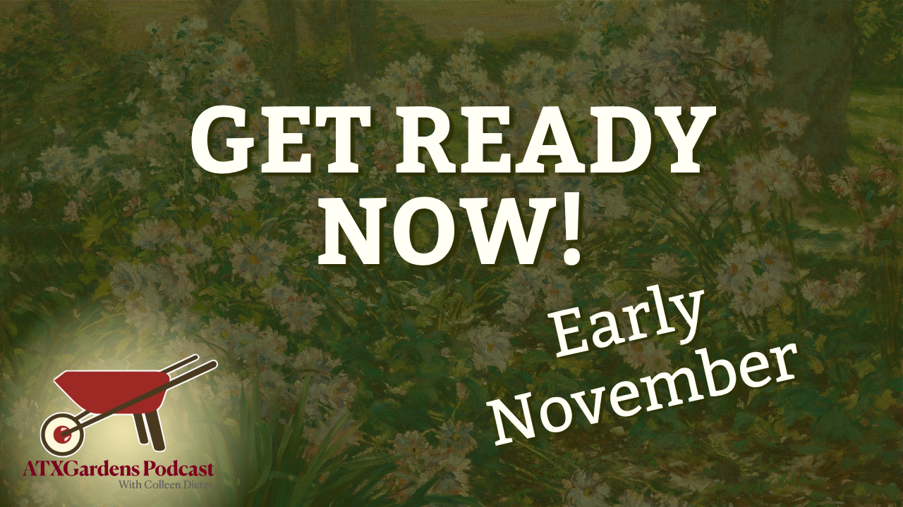 What to Do in Your Central Texas Garden (Nov. 1–15): Final Fall Planting &amp; Freeze Prep