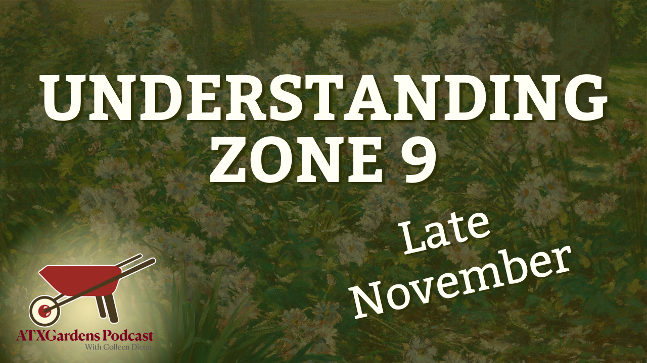 What to Do in Your Central Texas Garden (Nov. 15–30): Understanding Zone 9