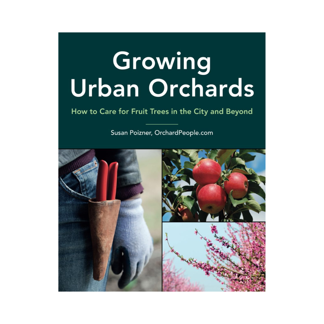 Growing Urban Orchards