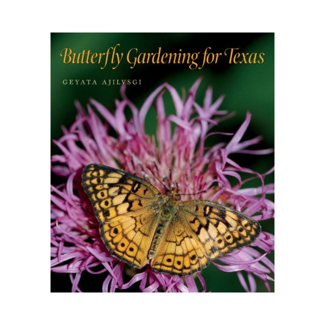 Butterfly Gardening for Texas