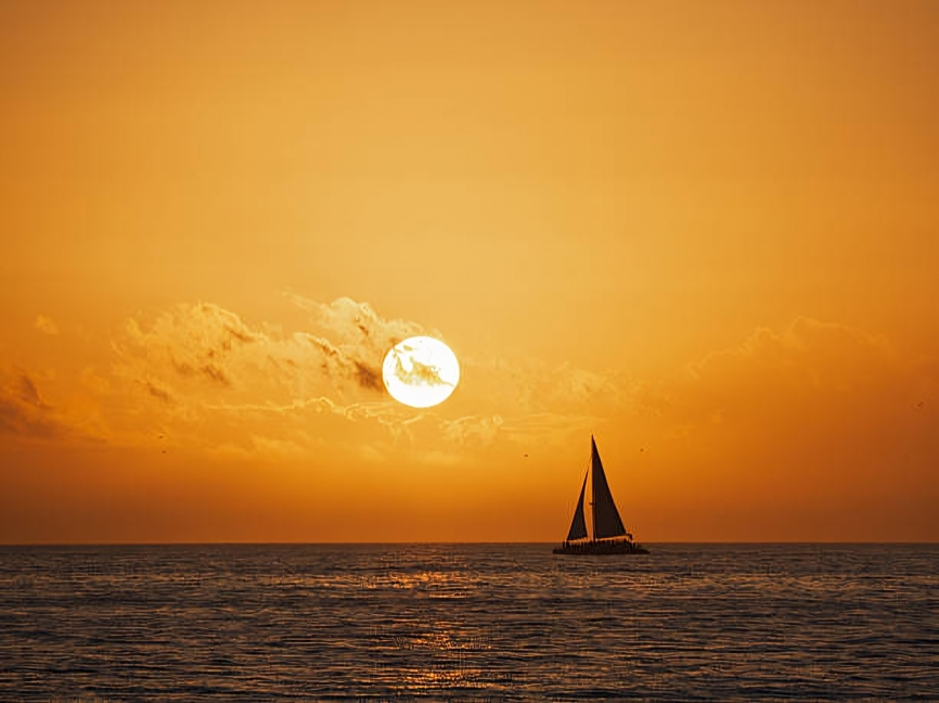 sunset 8.png