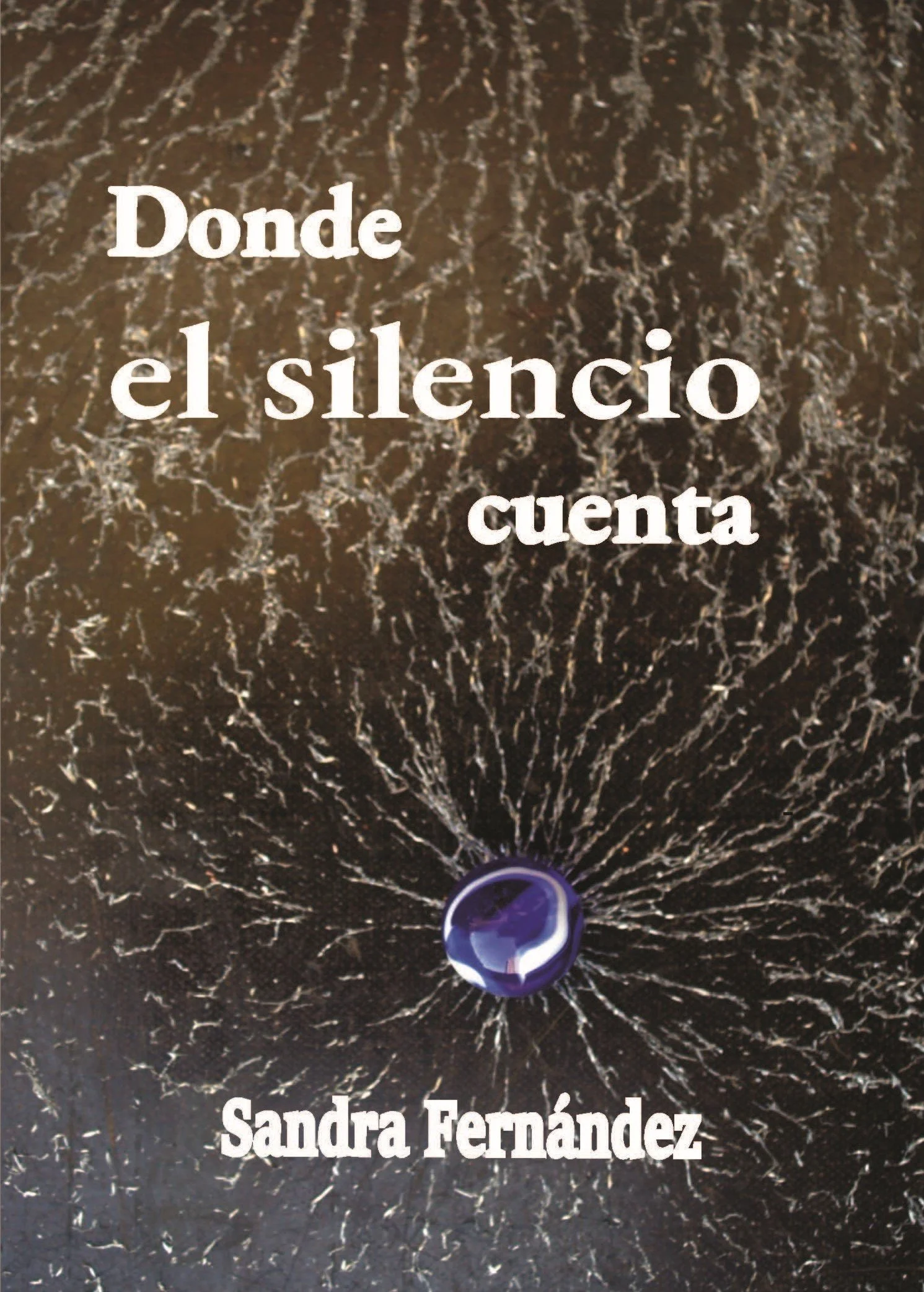 donde el silencio.jpeg
