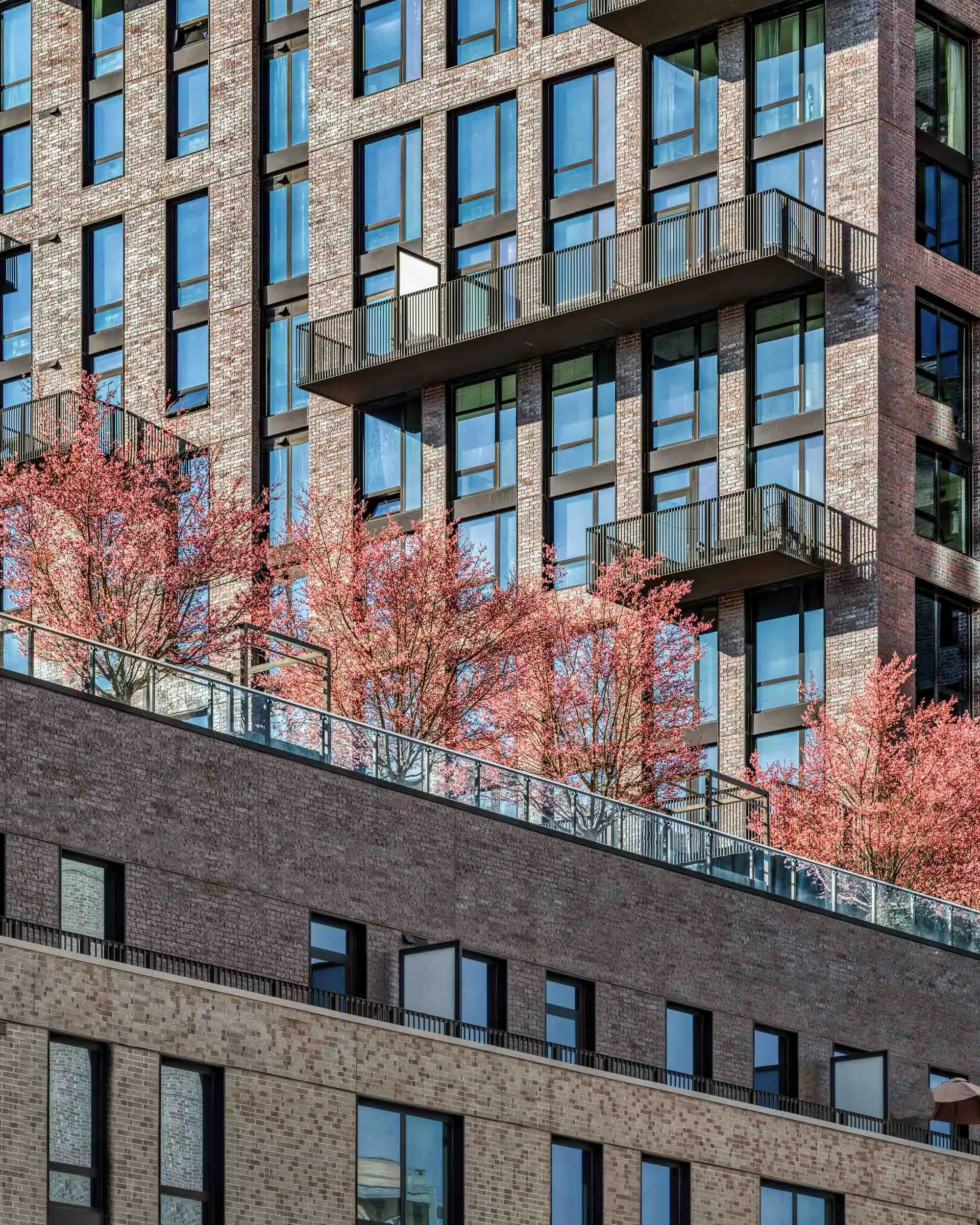 24-02-26_Reston_169_HDR.jpg