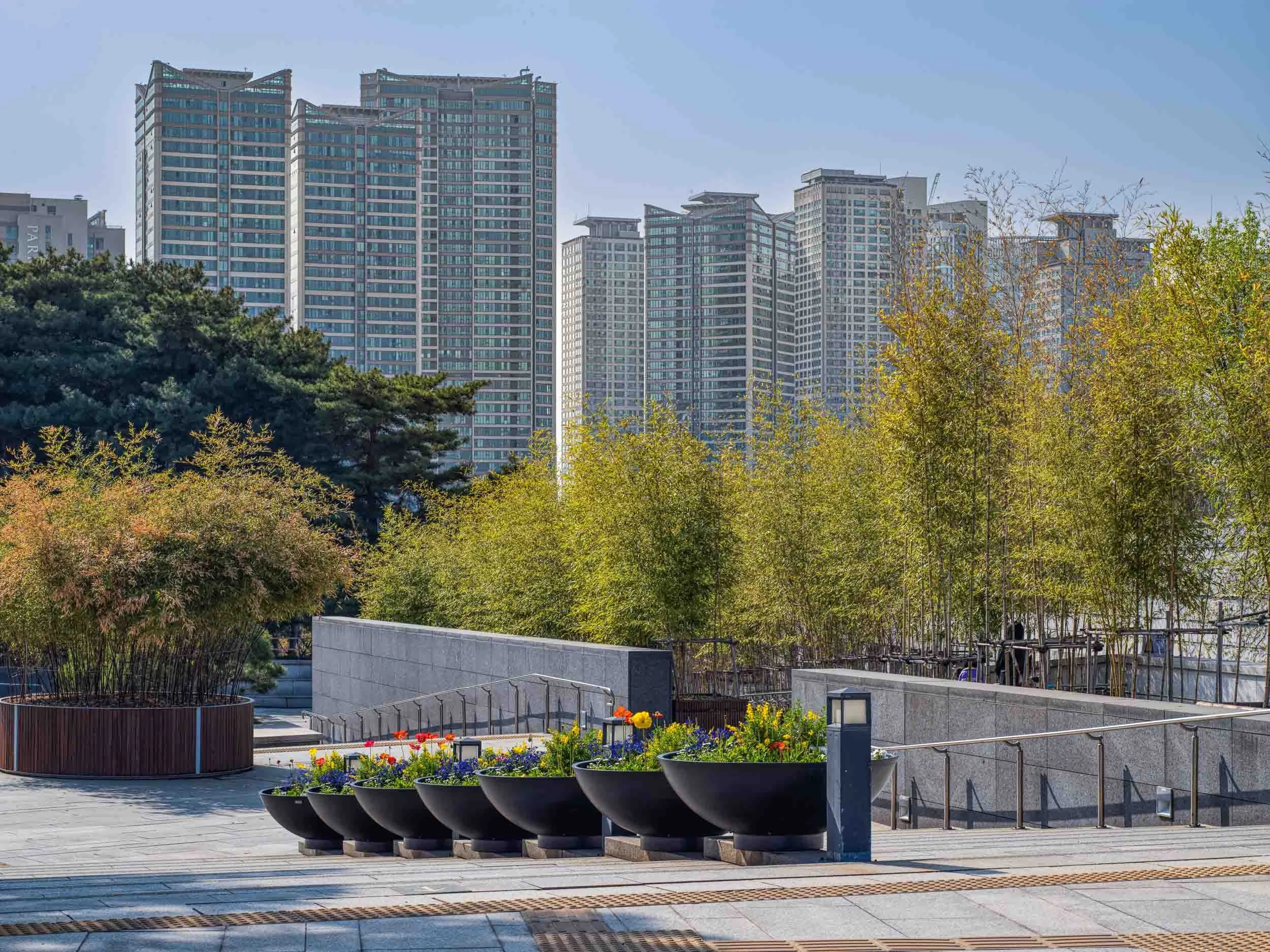 4-5-24_Seoul_4128.jpg