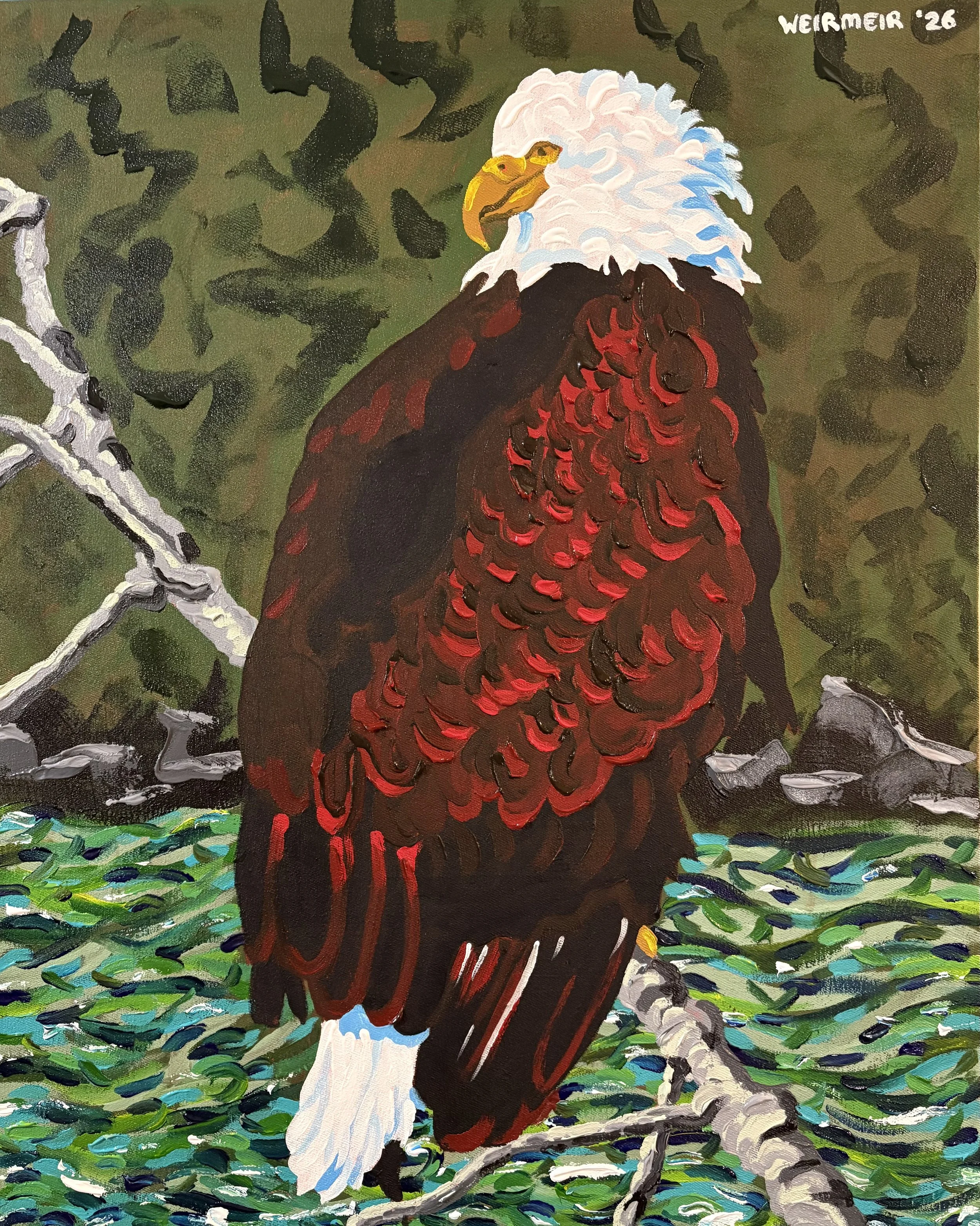 "Majestic Bald Eagle"