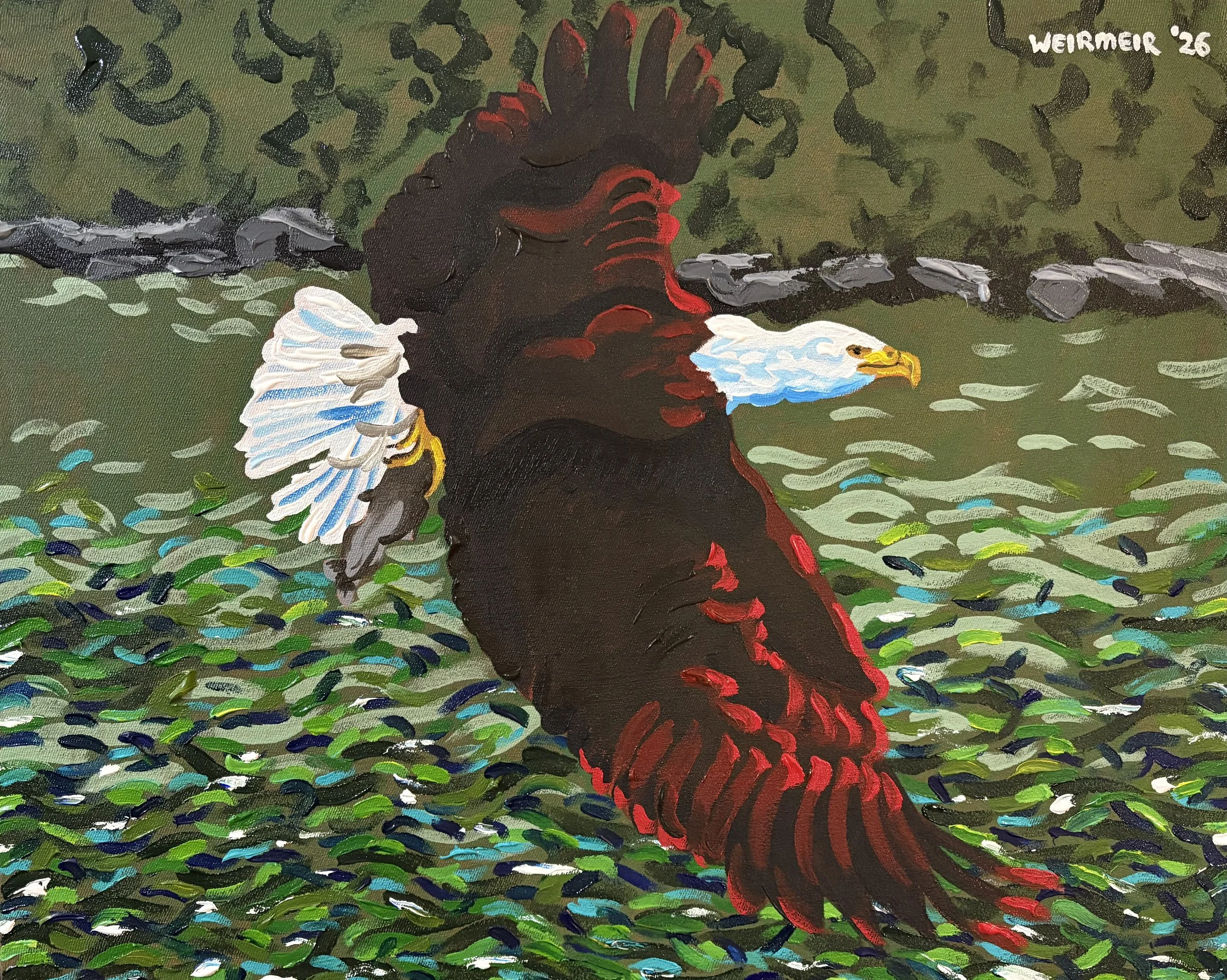 "Bald Eagle With a Salmon"