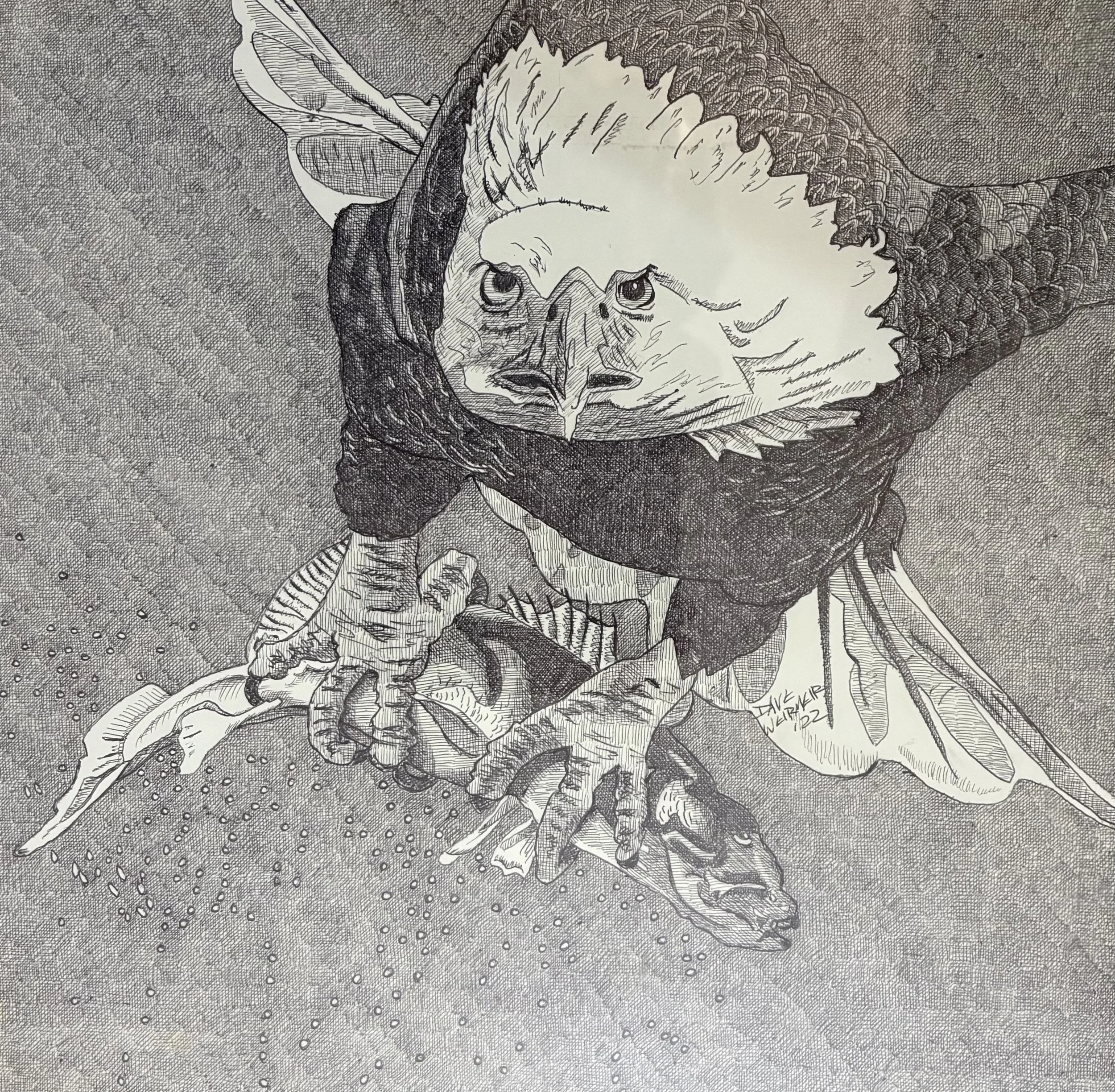 image0 (67).jpeg