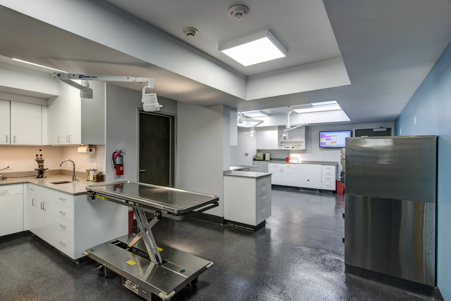 Modernized veterinary surgery and treatment room with stainless operating table, white cabinetry, reconfigured skylights, and durable flooring for easy cleaning.