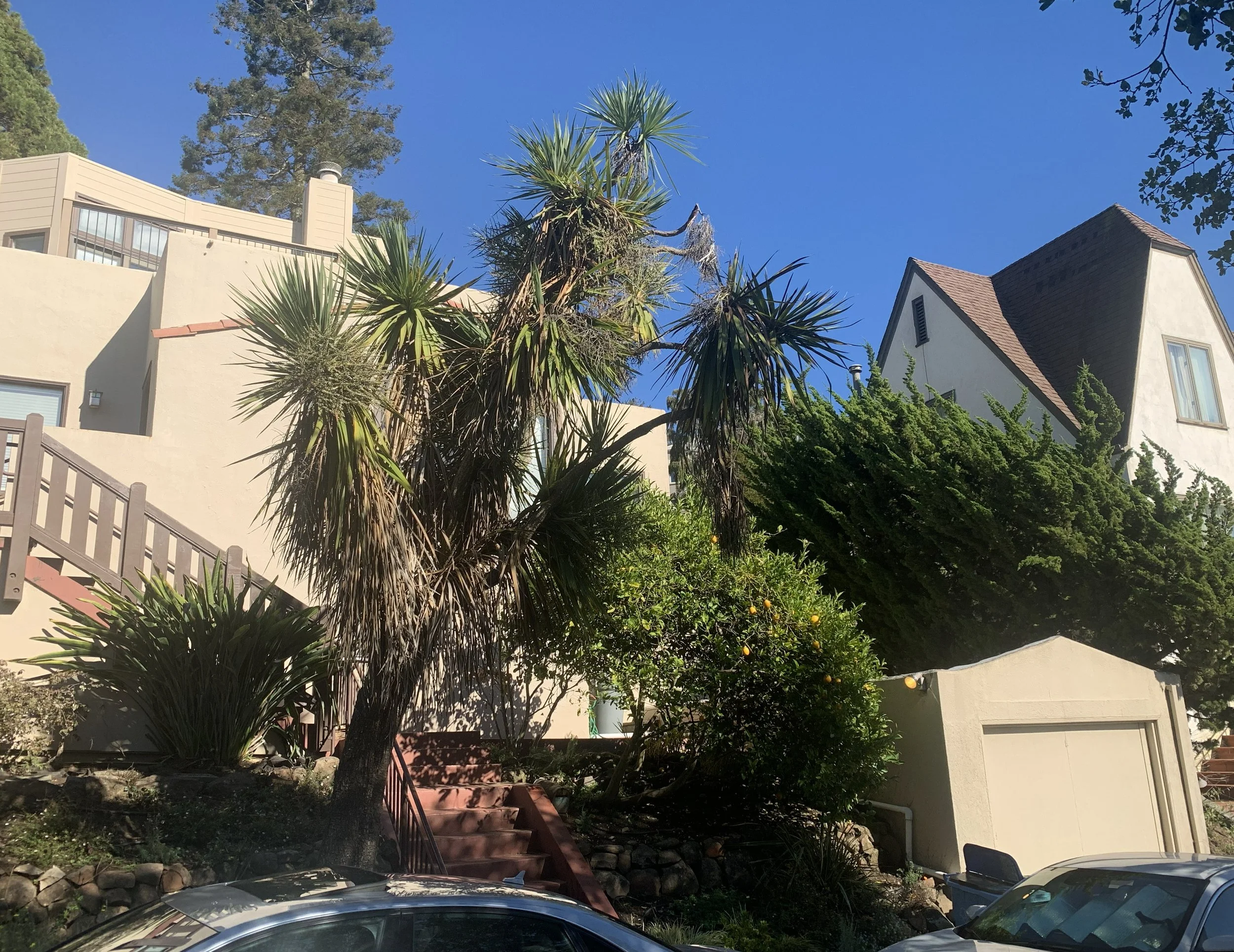 Tan stucco home with single story detached garage at street, and steep stairs up to home