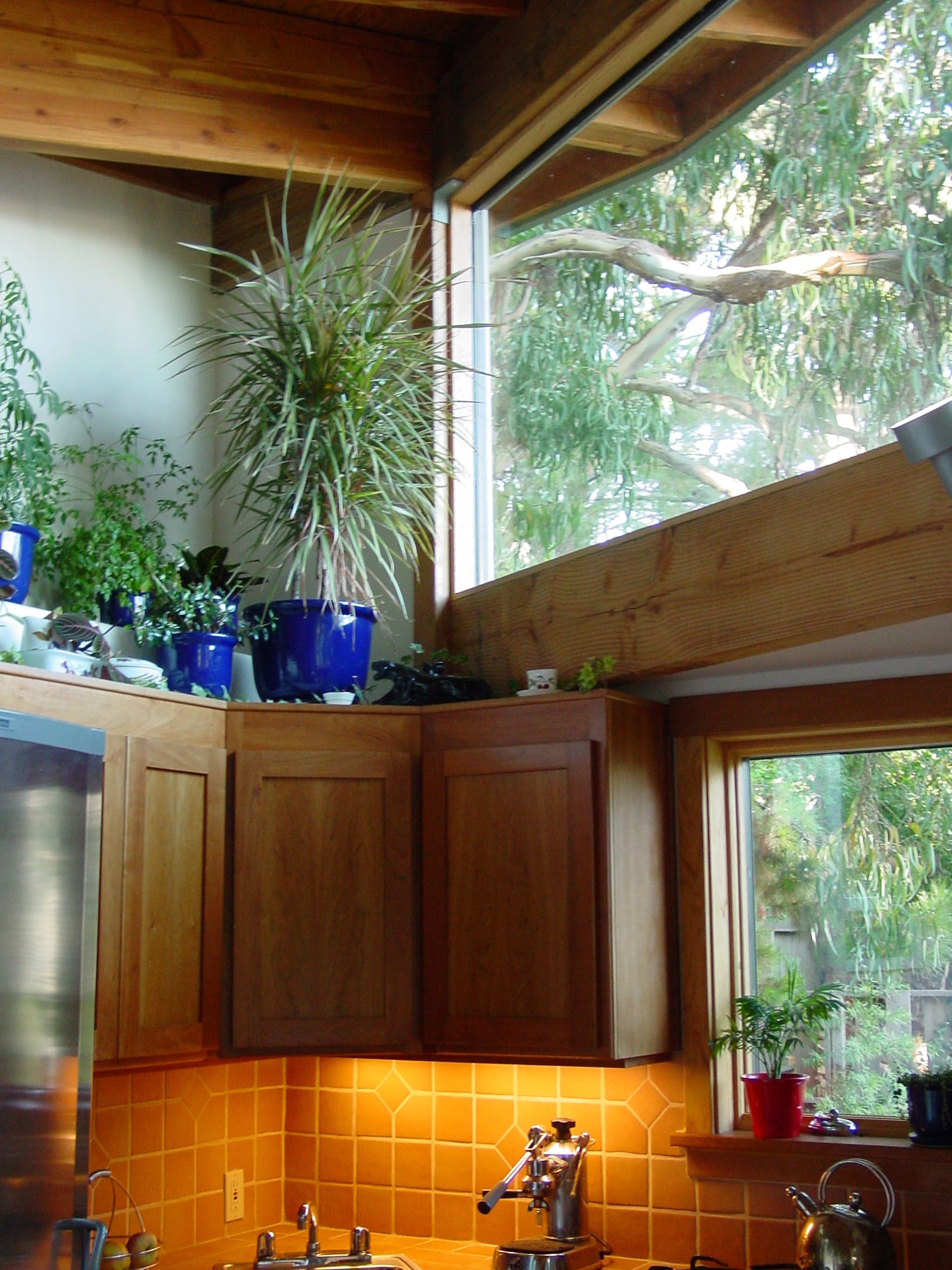 Kitchen detail with upper clerestory glazing, wood beams, and high windows above the cabinets, bringing in tree views and natural light while protecting privacy in the cottage.