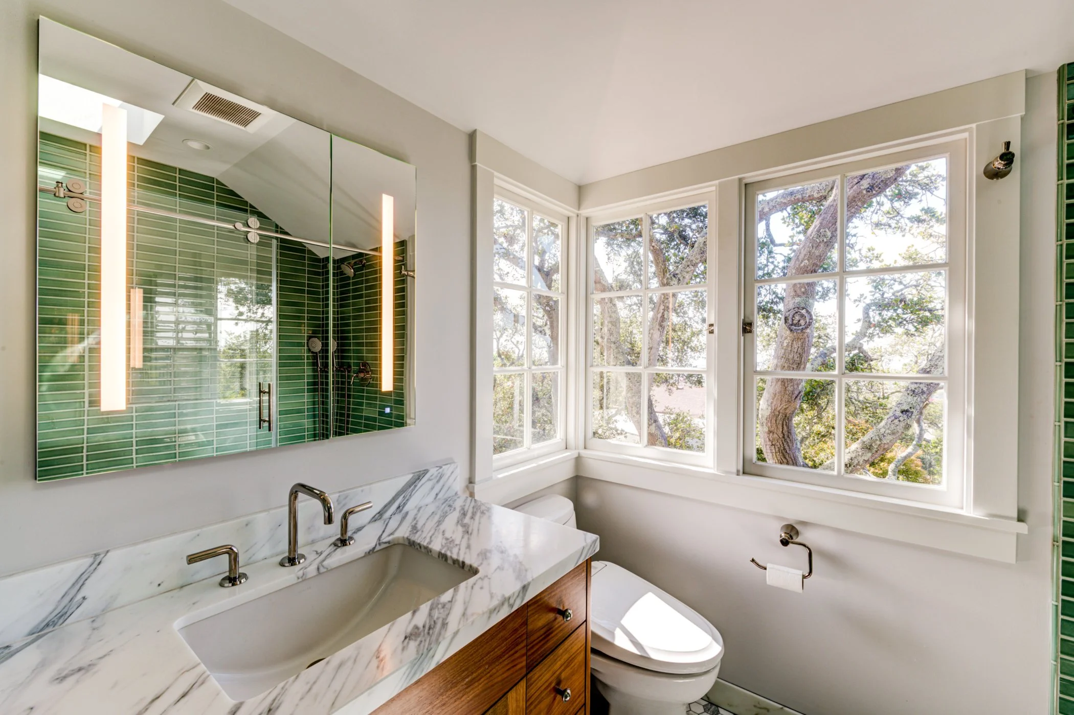 Green-vanity primary bathroom showing counter and lighting.