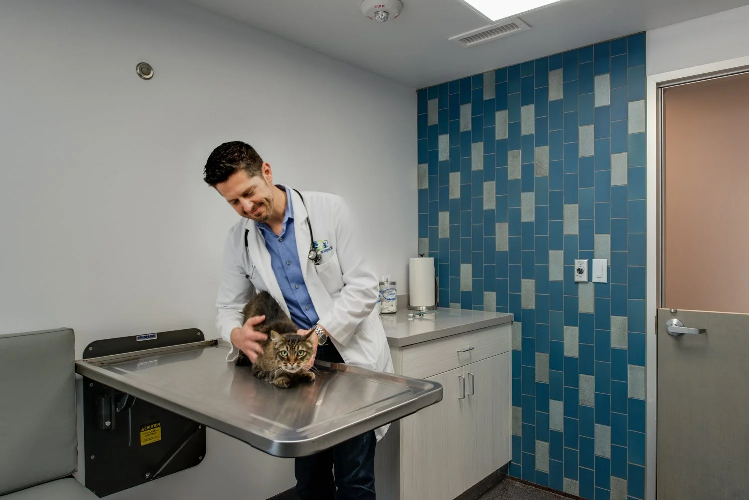Veterinarian checks a cat on a stainless exam table in a remodeled room with blue and gray tile wall, new cabinetry, and improved lighting for patient care.
