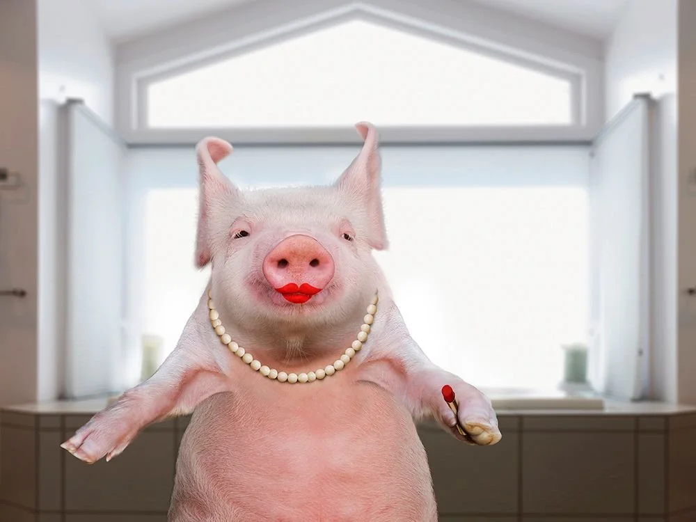 Lipstick on a Pig: Why Your IPP3A Fixation Won’t Fix Property Management’s Bigger Privacy Problem