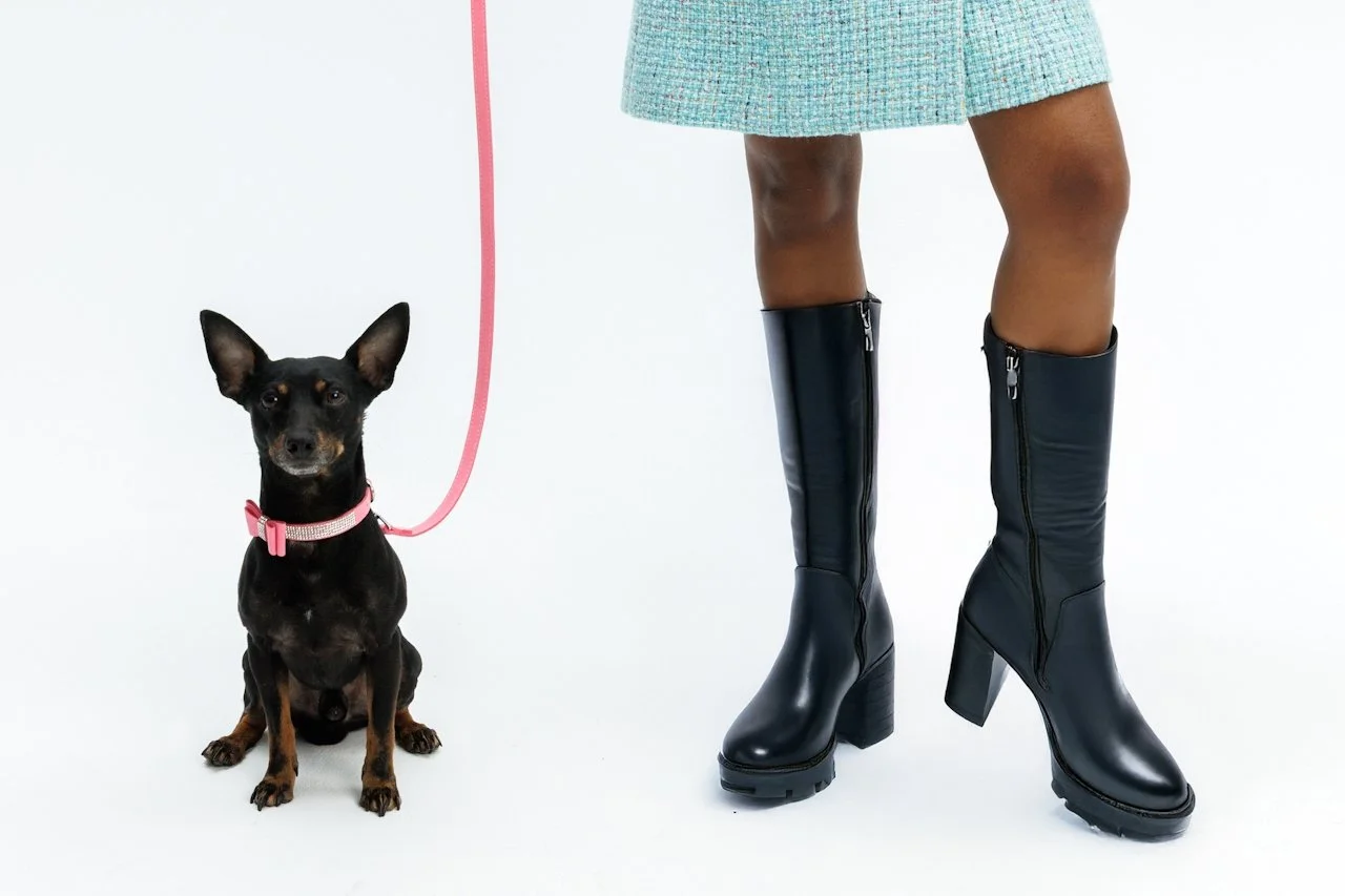 I Read the Christchurch Puppy Case So You Don't Have To