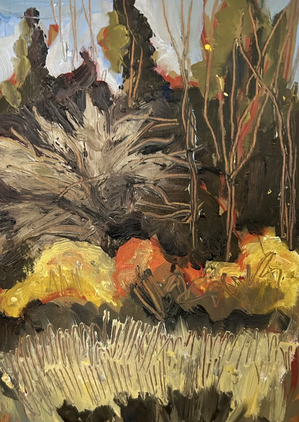 CSebert-Plein+Air+6_22+x+8_22.JPG