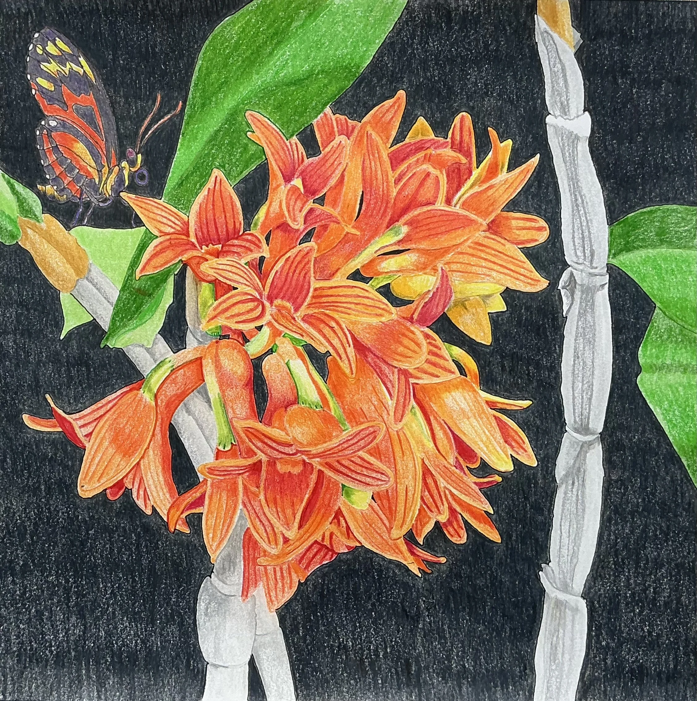BrianSickleThe+Orchiidaceae+Family4.jpg