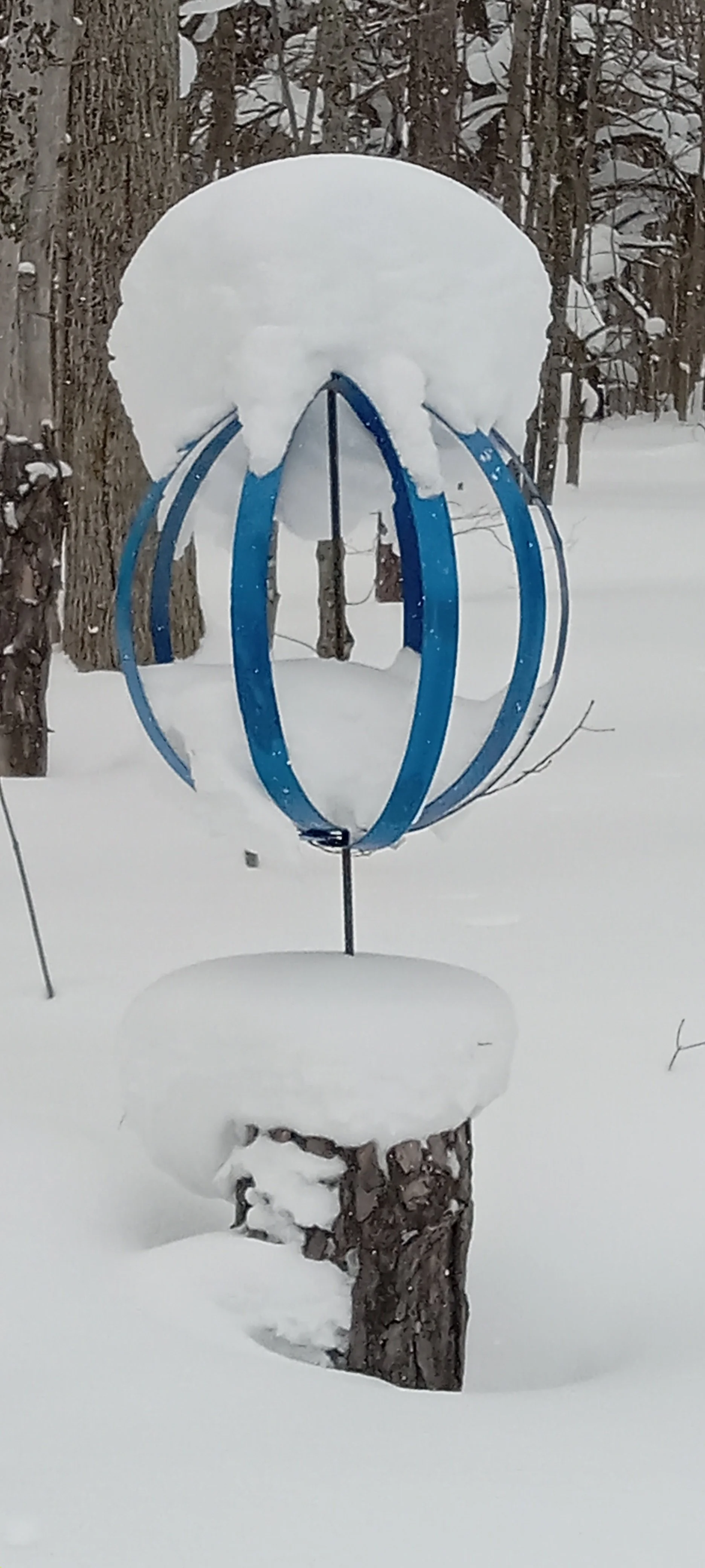CJColman-Blue+hoop+in+winter.jpg