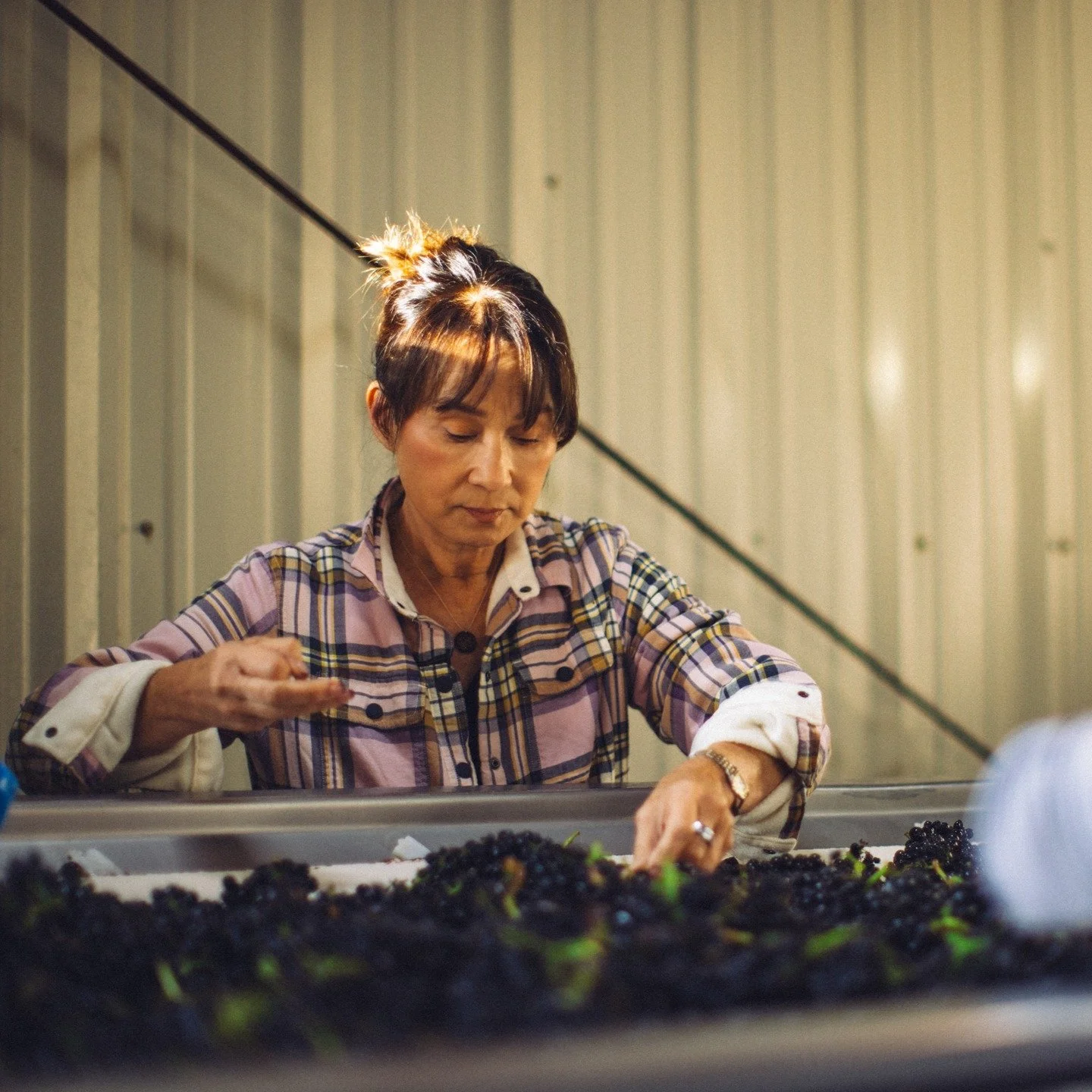 Beauty truly blooms where intention takes root this #WomensHistoryMonth 🌿

At Adonna, we raise a glass to Donna Kato, our founder and Japanese American biochemist-turned-vintner. From her great-grandfather&rsquo;s peach orchards in Japan to our vine