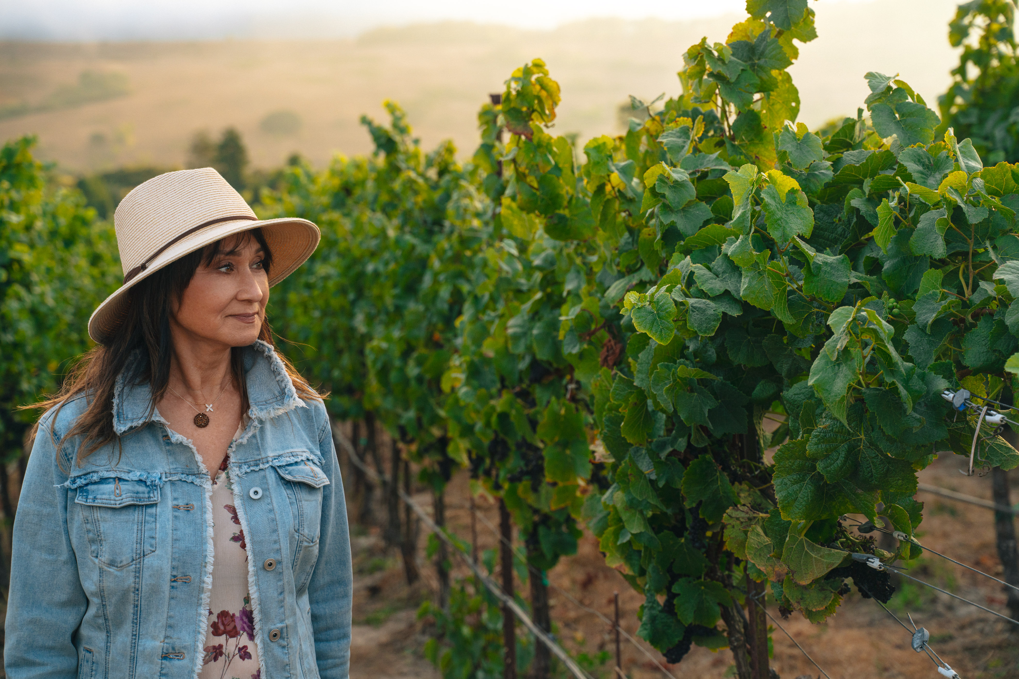 Heritage, Honored. From Japan to Sonoma.