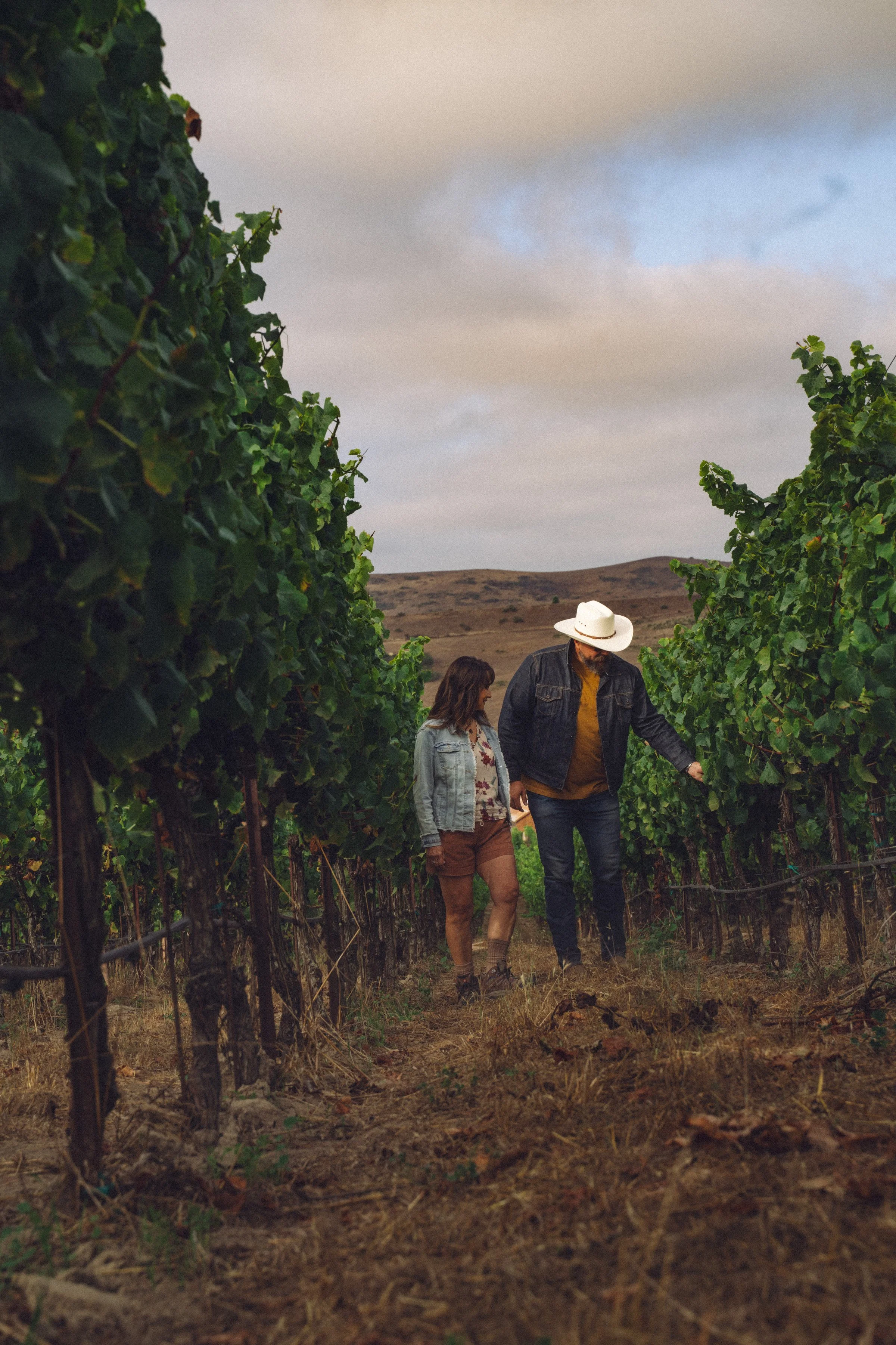 Donna Kato and Cody Garzini walking through a vineyard on a cloudy day, with rows of grapevines on either side.