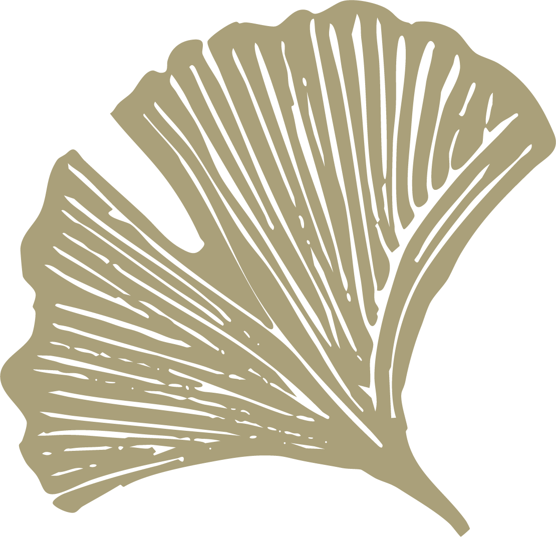 Illustration of a ginkgo leaf with detailed veins in a beige color on a black background.