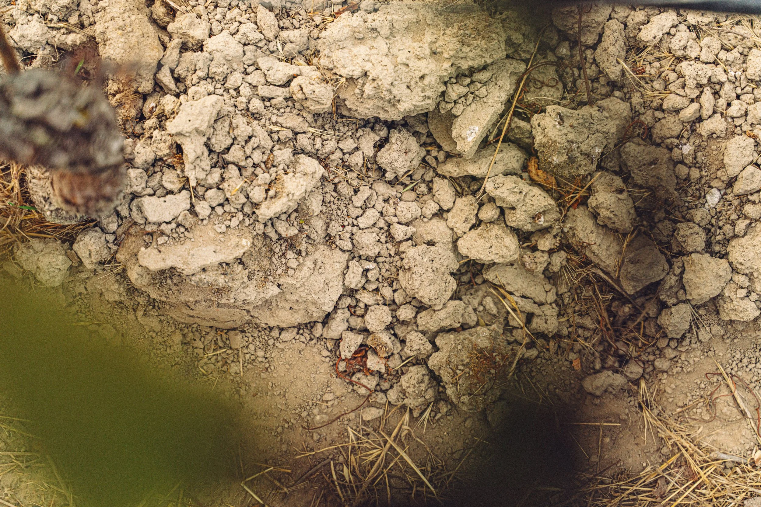 Close-up of Goldridge Soil