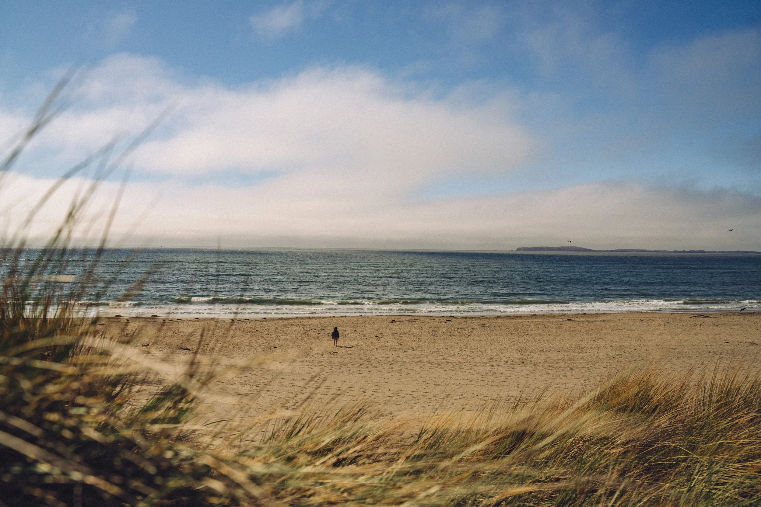A sandy beach with grassy dunes in the foreground, a single person walking, and the ocean with waves in the background, under a partly cloudy sky.
