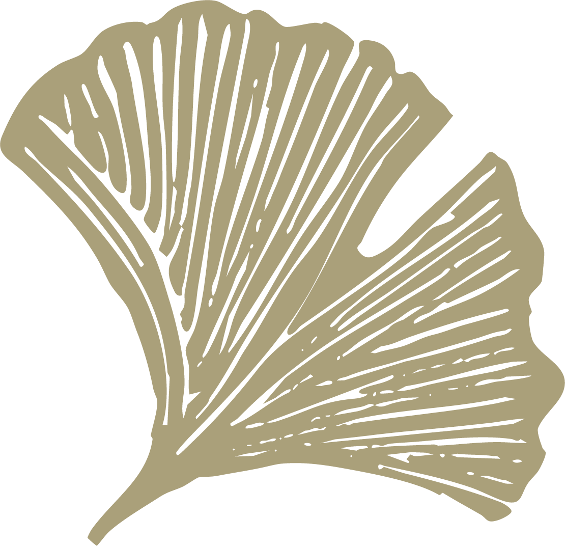 A stylized illustration of a ginkgo leaf in beige color on a black background.